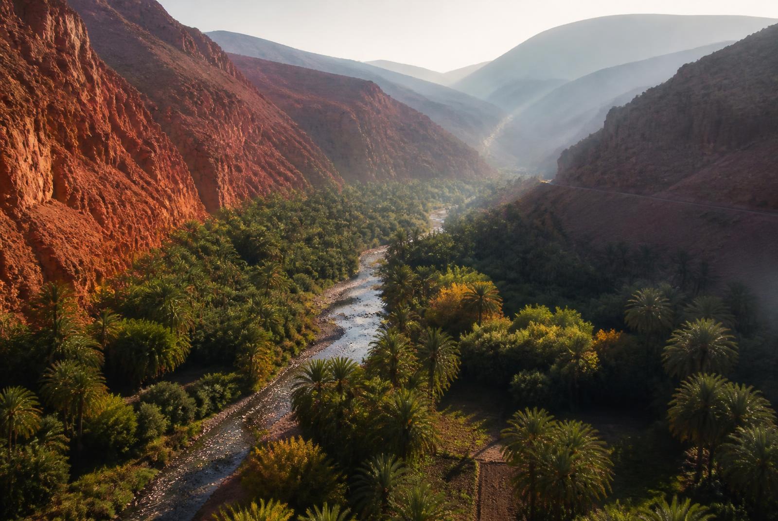 Palm oasis and river winding between red canyon walls in the Dades Valley, Morocco
