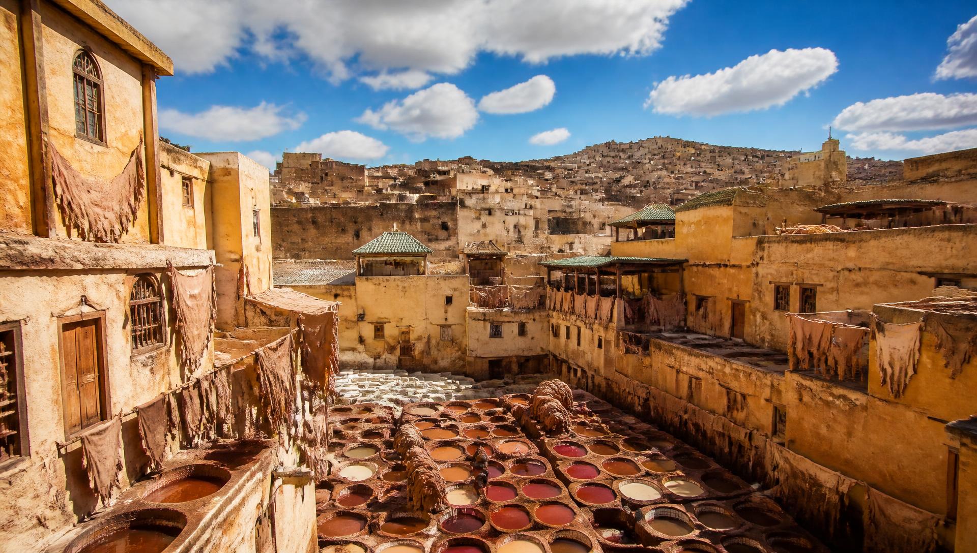 Stone dye vats of the Chouara tannery surrounded by rooftops in the Fes medina, Morocco