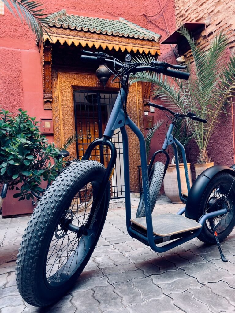 WhatsApp-Image-2024-11-22-at-16.38.26-768x1024