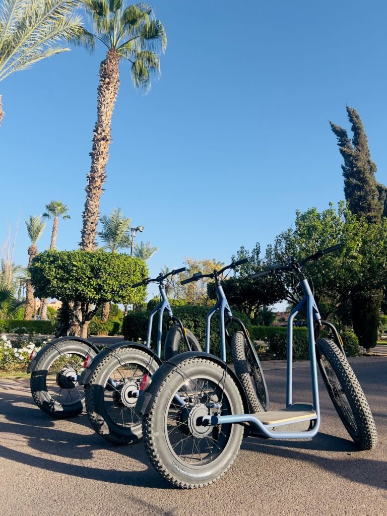 WhatsApp-Image-2024-11-22-at-16.43.38-768x1024