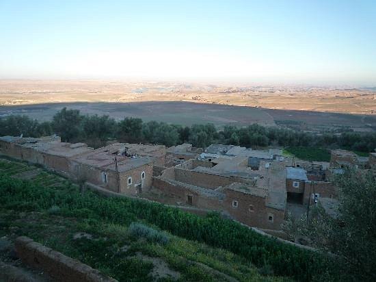 dar-zitoune (1)